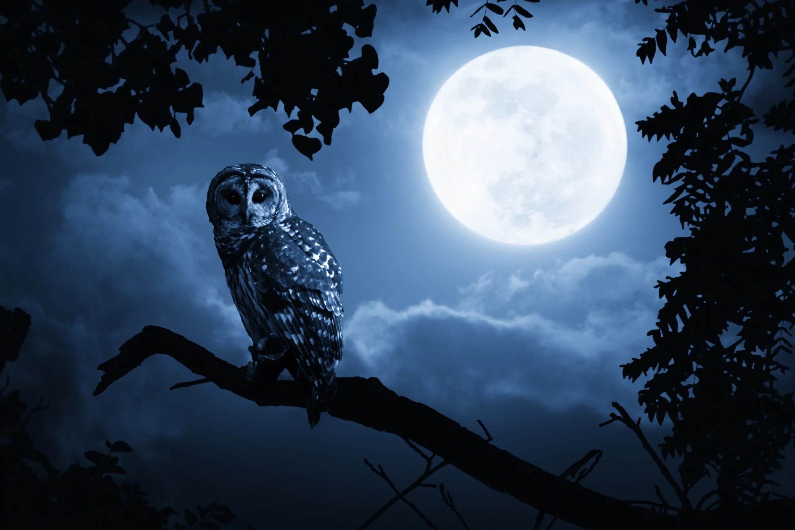 Pflegefachkraft im Nachtdienst
